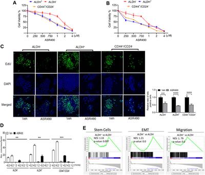 A small molecule inhibitor of Notch1 modulates stemness and suppresses breast cancer cell growth